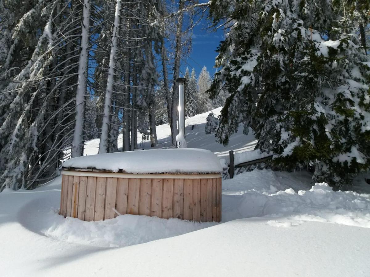 Chalet Petit Kanzelhohe ภายนอก รูปภาพ