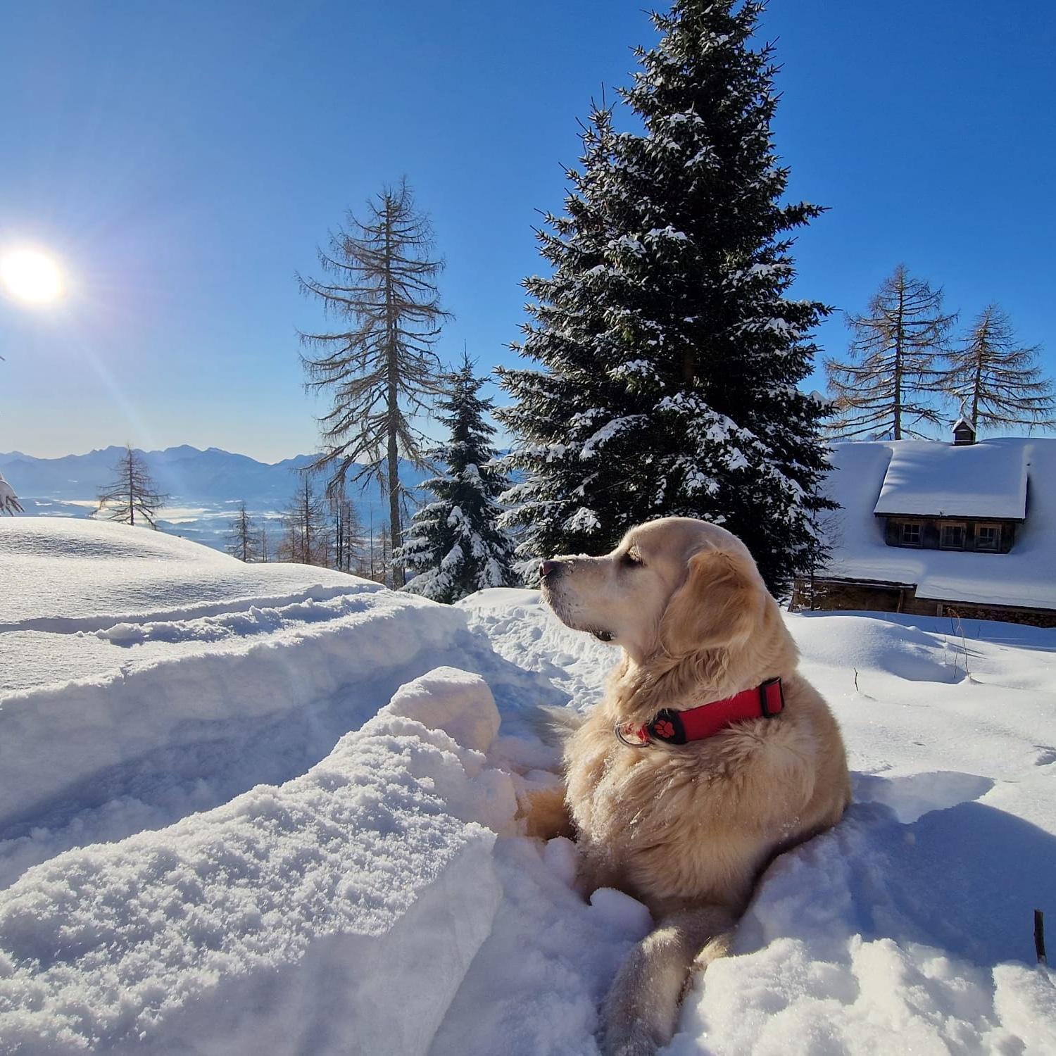 Chalet Petit Kanzelhohe ภายนอก รูปภาพ